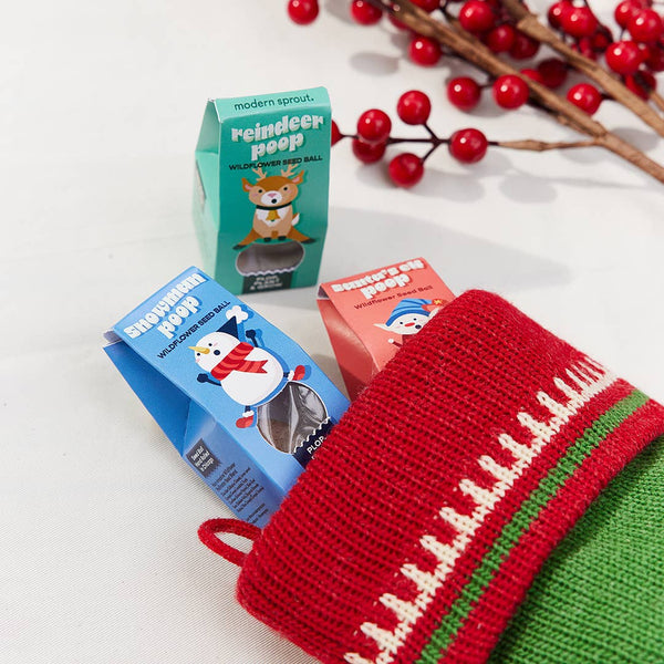 Jingle Plops Assorted - Seed Balls