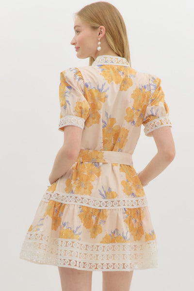 the Golden Raye dress