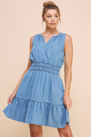 the Dani chambray dress