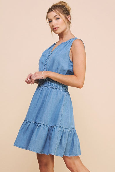the Dani chambray dress